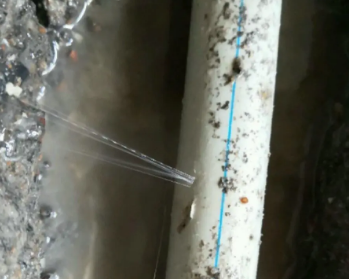 石渠卫生间测漏水多少钱