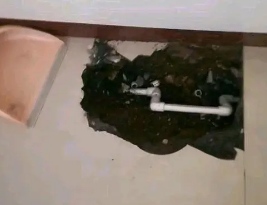 石渠卫生间测漏水多少钱